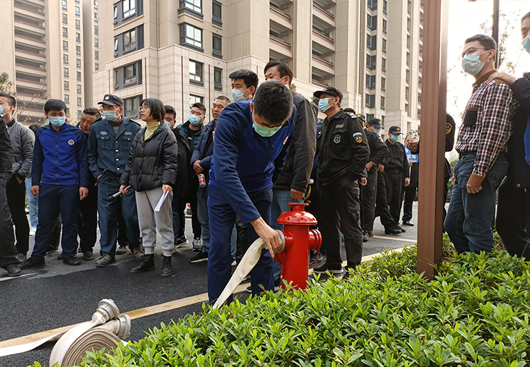 1638951457344820.png 04.png